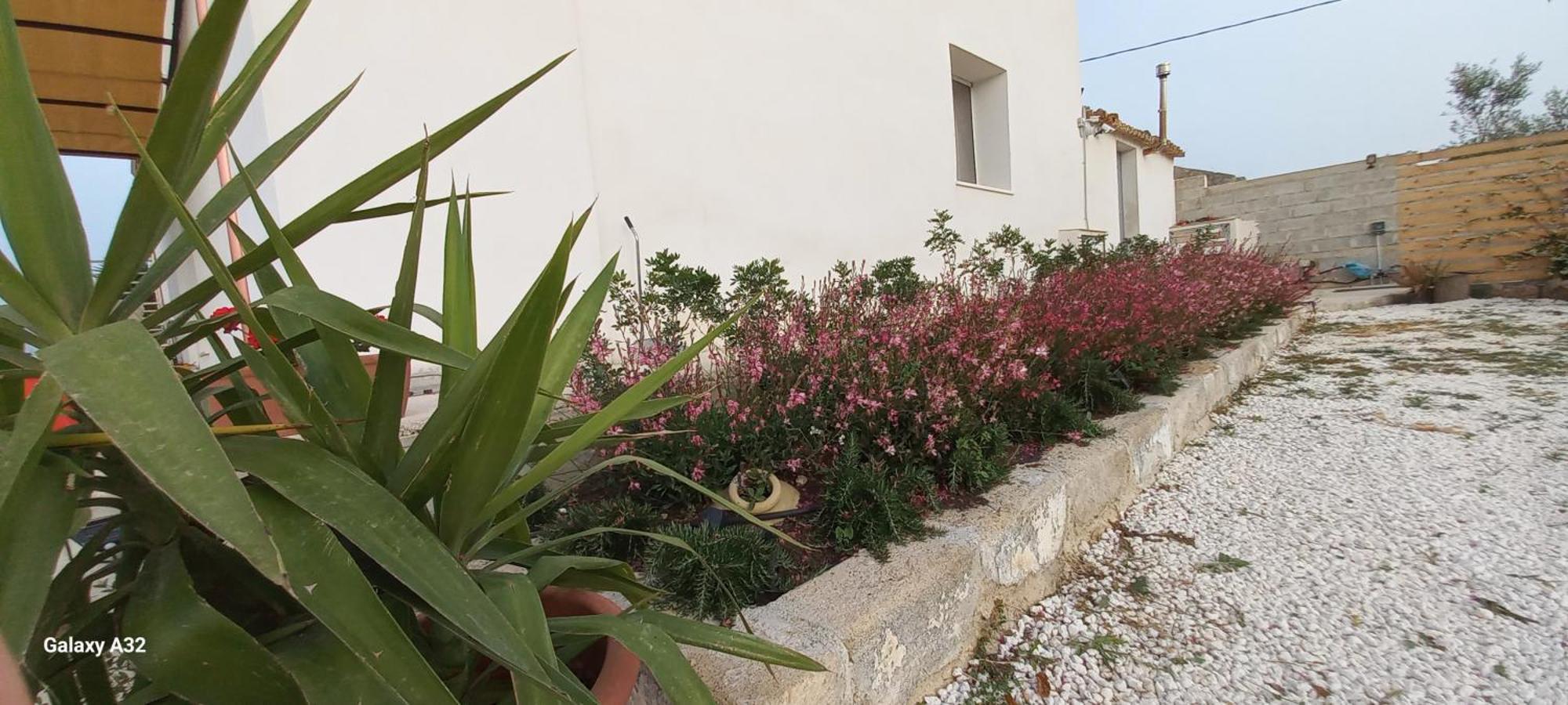 Almademari Giglio Casa Vacanza Pachino Phòng bức ảnh